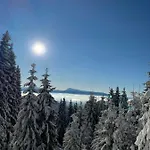 Chalet Panorama Mountain *