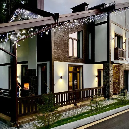 Chalet Panorama Mountain Bukovel