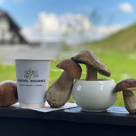 Chalet Panorama Mountain *