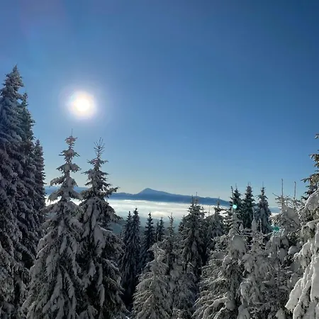 Alpesi faház Panorama Mountain *